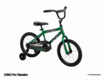 Pro Thunder Bicycle, Boys', 16-In.