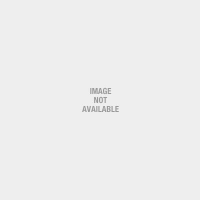 American Standard Brands 9316001 002 Jocelyn Kitchen Faucet With
