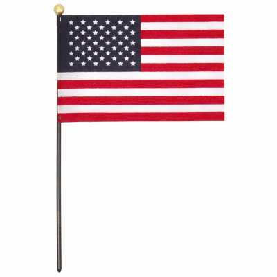 4x6 US Hand Flag DSP