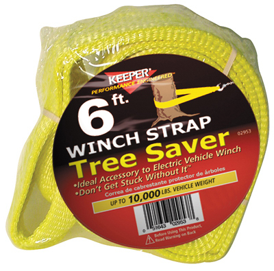 3x6 Winch Strap