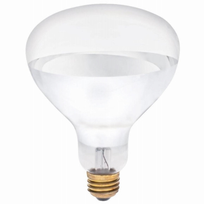 1PK 125W R40 CLR Lamp