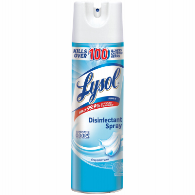 19OZ Lysol Disinf Spray
