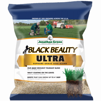BLK Beaut3LB Grass Seed
