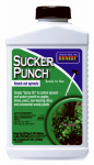 BONIDE PRODUCTS INC 276 8 OZ, Ready To Use, Sucker Punch, Brush Top, Plant