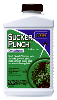 8OZ RTU Sucker Punch