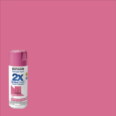PT2X 12OZ Berry Paint
