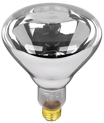 125W CLR R40 Heat Lamp