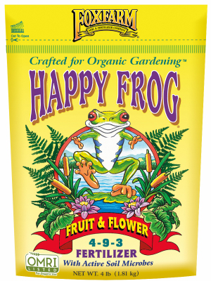 4LB Happy Frog Flower