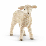 WHT Lamb