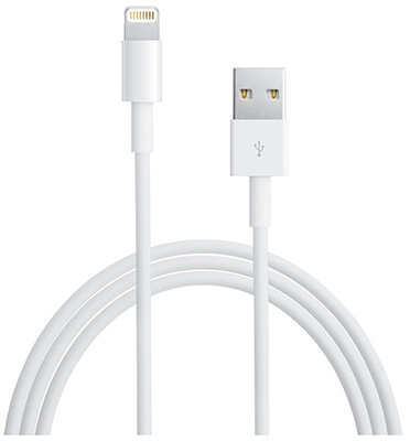 Apple 10WHT Sync Cable