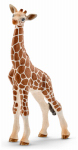 ORG/Tan Giraffe Calf