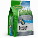 DLF GREUN205 Green Thumb, 7 LB, Premium Coated Perennial Ryegrass Seed, 1,750