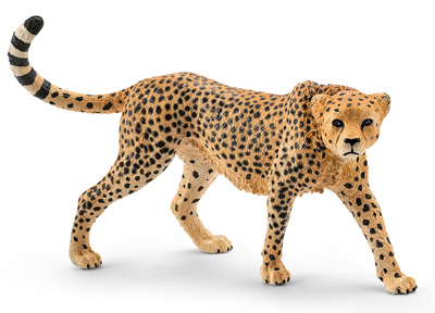 Tan Female Cheetah
