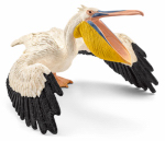 WHT Pelican