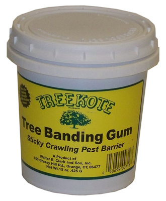 15OZ Tree Banding Gum