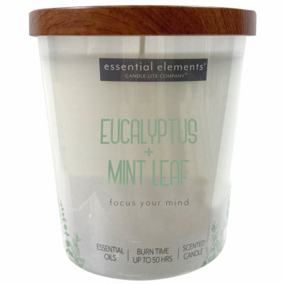 9OZ Euc/Mint Jar Candle