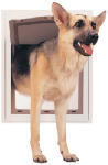 XL WHT Pet Door