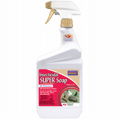 QT Insect Soap