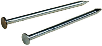 1x17 Galv Wire Nail