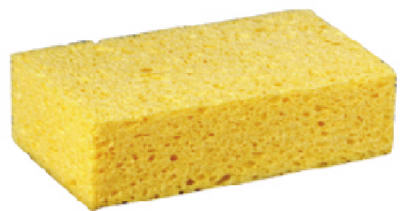 C31 LG Comm Sponge
